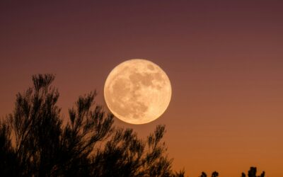 Was der Vollmond im Schützen für dich bedeutet