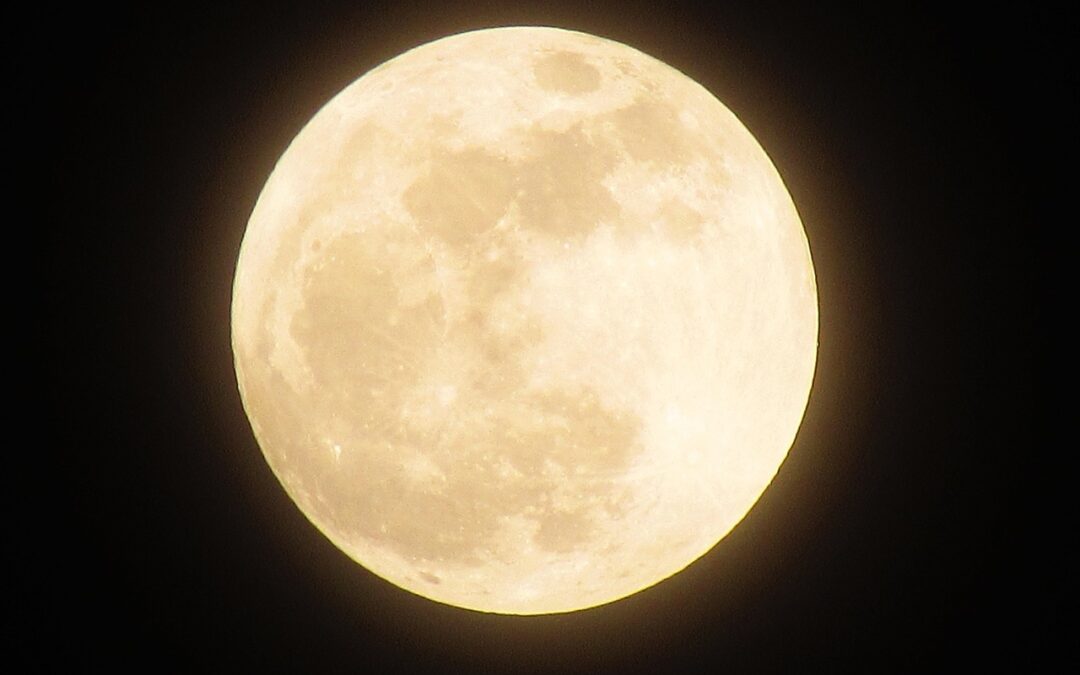 Was der Vollmond im Löwen für dich bedeutet